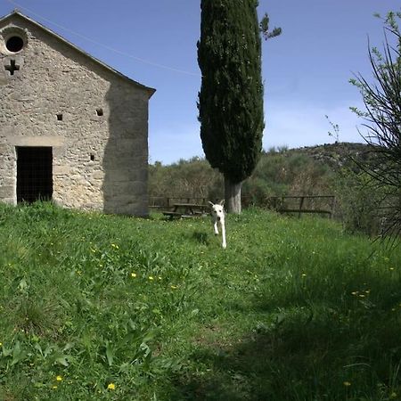 Casa Greta - Orco-Feglino Daire Orco Feglino Dış mekan fotoğraf