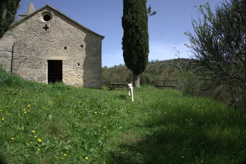 Casa Greta - Orco-Feglino Daire Orco Feglino Dış mekan fotoğraf